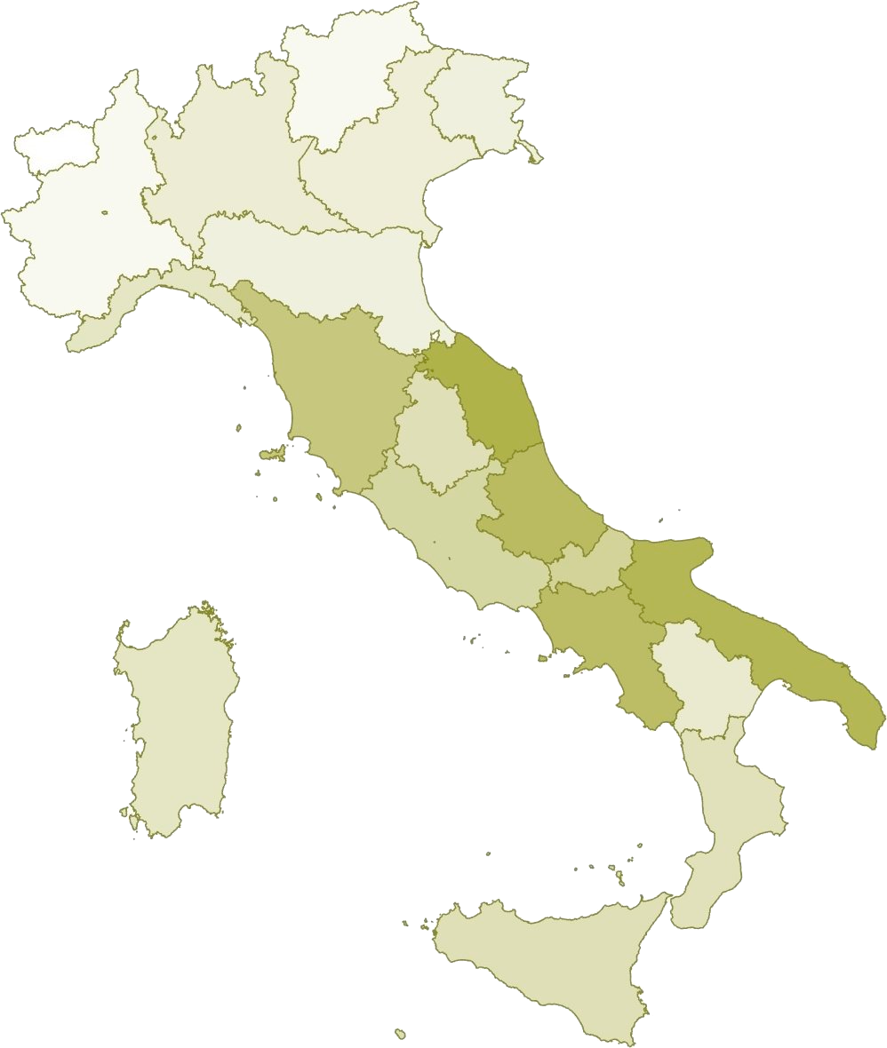 Discover the Oil Map